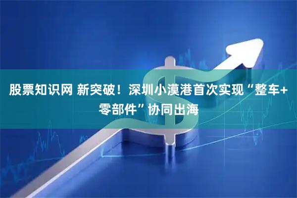 股票知识网 新突破！深圳小漠港首次实现“整车+零部件”协同出海