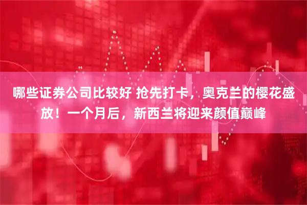 哪些证券公司比较好 抢先打卡，奥克兰的樱花盛放！一个月后，新西兰将迎来颜值巅峰