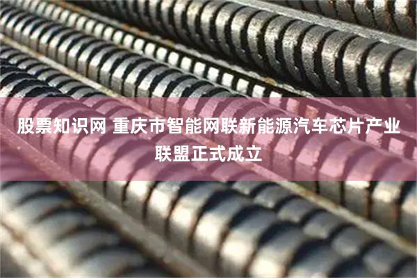 股票知识网 重庆市智能网联新能源汽车芯片产业联盟正式成立