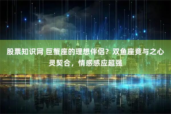 股票知识网 巨蟹座的理想伴侣？双鱼座竟与之心灵契合，情感感应超强